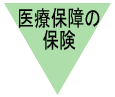 医療保障の保険 医療保障の保険