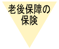 老後保障の保険 老後保障の保険